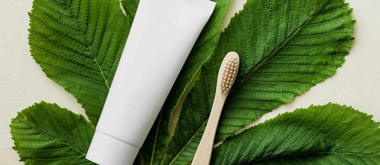 dentifrice naturel