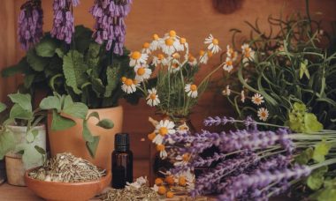 remède naturel pour tension basse : secrets de grand-mère et plantes maison