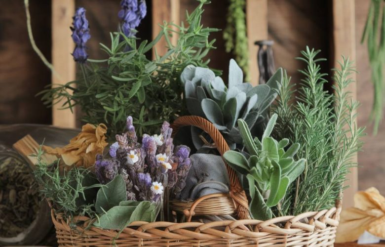 remède naturel mince alors : aînés à mardi, pour soin site recette plantes