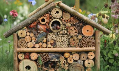 "Concevoir un hôtel à insectes pour votre jardin : guide pratique et astuces écologiques"