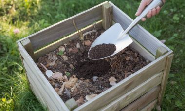 Le compostage : astuces simples et naturelles pour transformer vos déchets en or pour le jardin