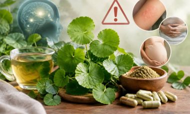 Centella asiatica : quels sont les dangers et les précautions à connaître ?