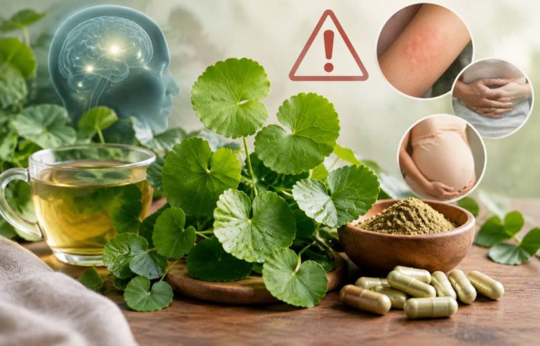 Centella asiatica : quels sont les dangers et les précautions à connaître ?