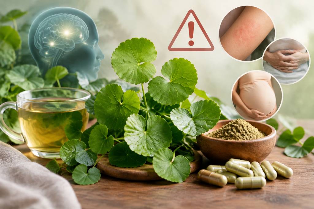 Centella asiatica : quels sont les dangers et les précautions à connaître ?